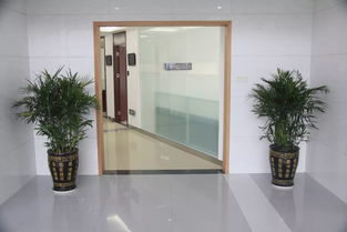 中深裝集團精品工程丨深圳市政府采購中心集中采購平臺裝飾工程