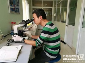 正典球苗技術服務團隊 專業力量走出國門，賦能全球客戶養殖新高度